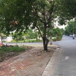 ban dat kdc Nam Long Phu Thuan4 (FILEminimizer)